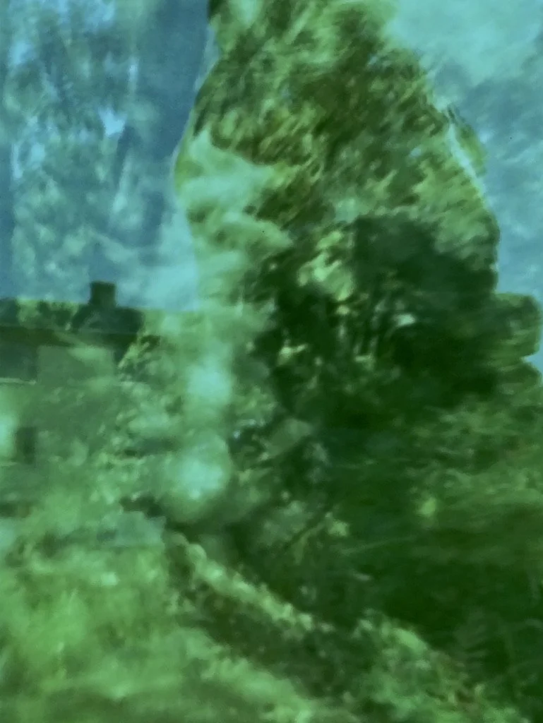 pineapple 7F2877CB-4FF3-4A64-8919-758EEFD16CD4_1_105_c.jpeg