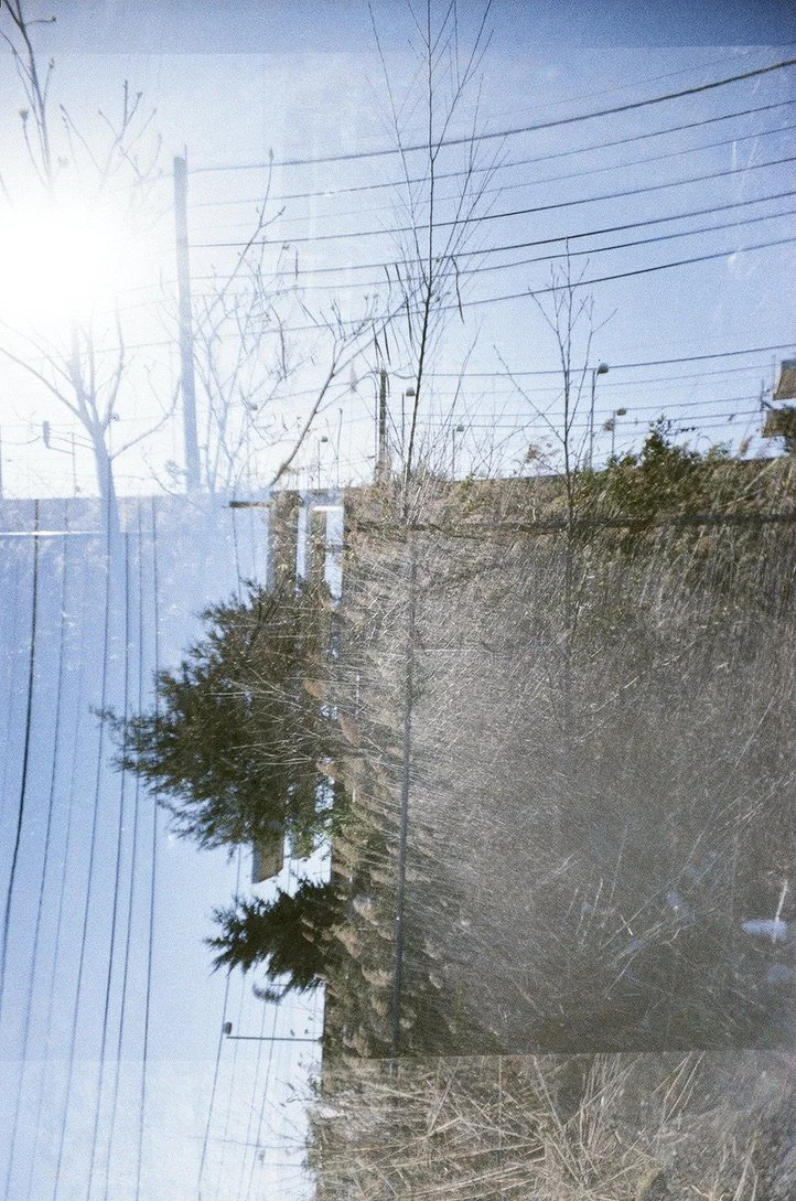 parking lot MX trees B891C9E3-FBA8-4220-8A14-6C4A6520C23E_1_105_c.jpeg