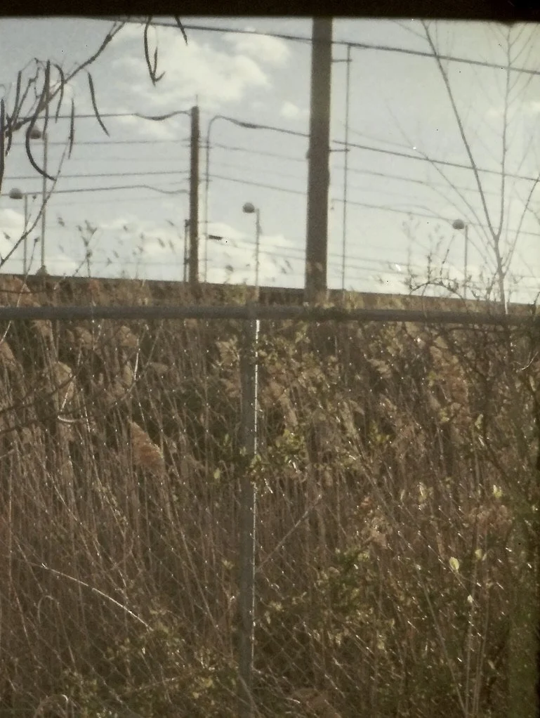 bag D2AF0D9B-4F8F-4F54-B8D1-807B0BC1BD7A_1_105_c.jpeg