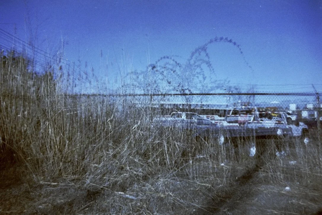 parking lot palm tree 29B598B5-311D-4D04-96CB-B251D7A3DB62_1_105_c.jpeg