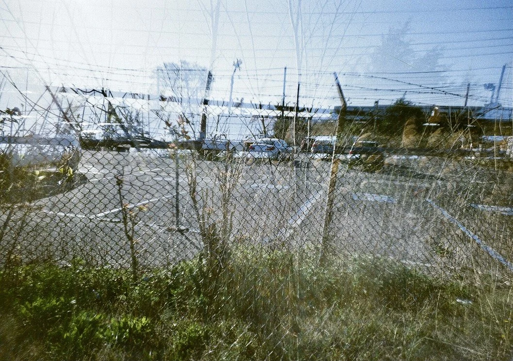 fence perfect BE5BBBF3-58D2-4137-8EEB-92A7143369A8_1_105_c.jpeg