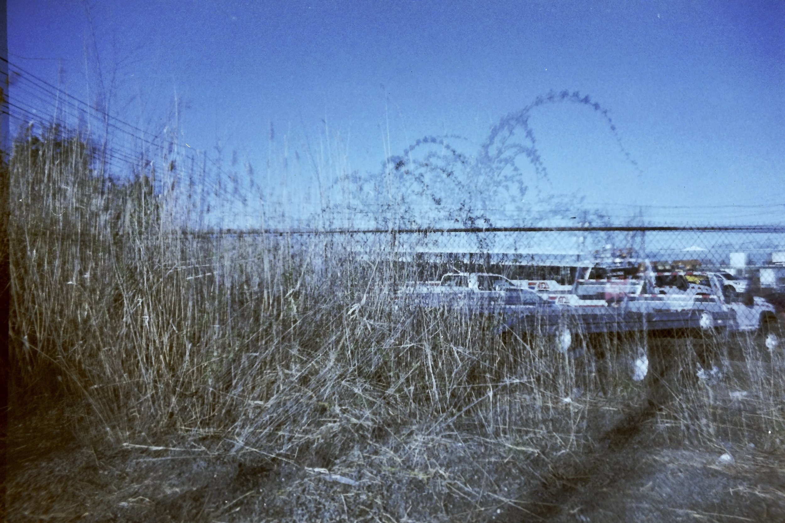 parking lot palm tree F50029DA-56AF-411A-BEB0-A2246C0A314E_1_201_a.jpeg