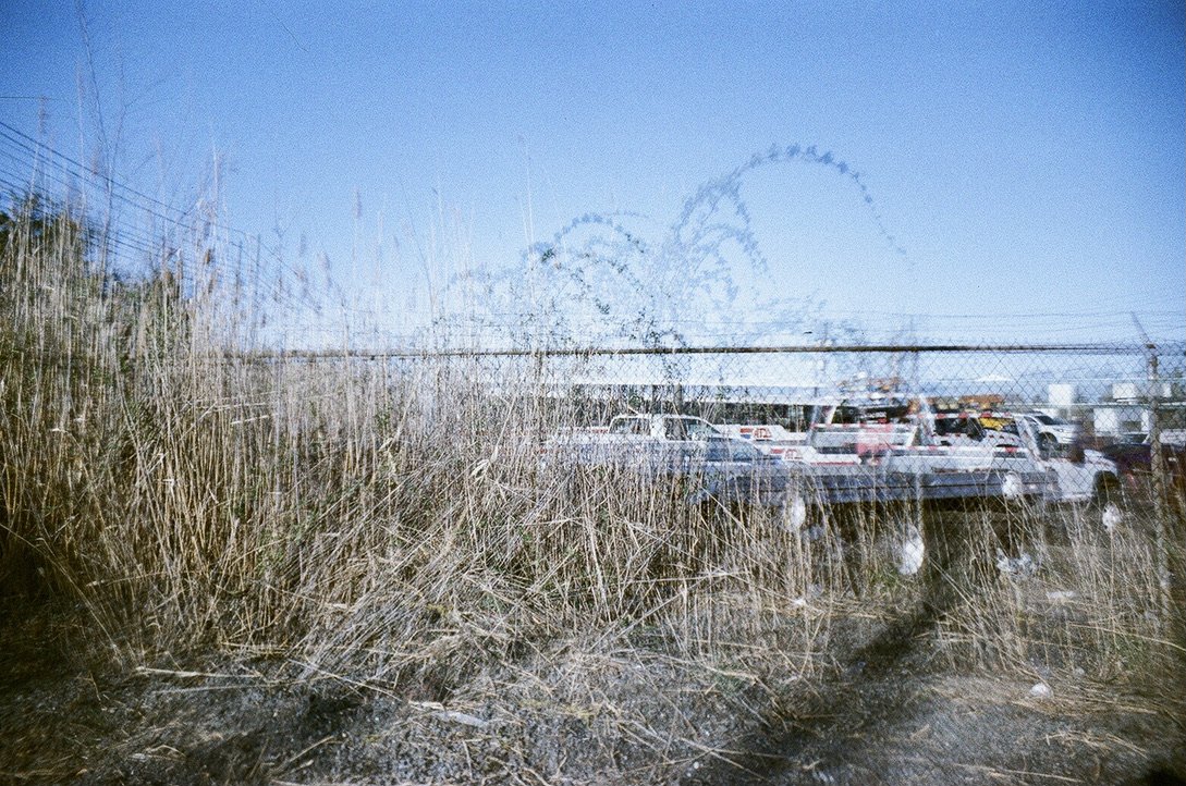 parking lot palm tree perfect C8F513E4-2DAA-44FF-88AD-207DF6517A57_1_105_c.jpeg