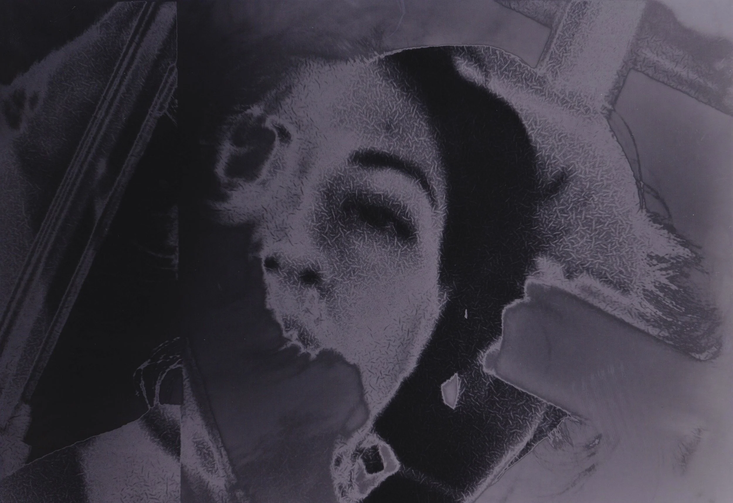 OG Me SRC Solarized 94A9A0D4-CE5B-4DAD-9C3E-91D6B5BC9171_1_201_a.jpeg