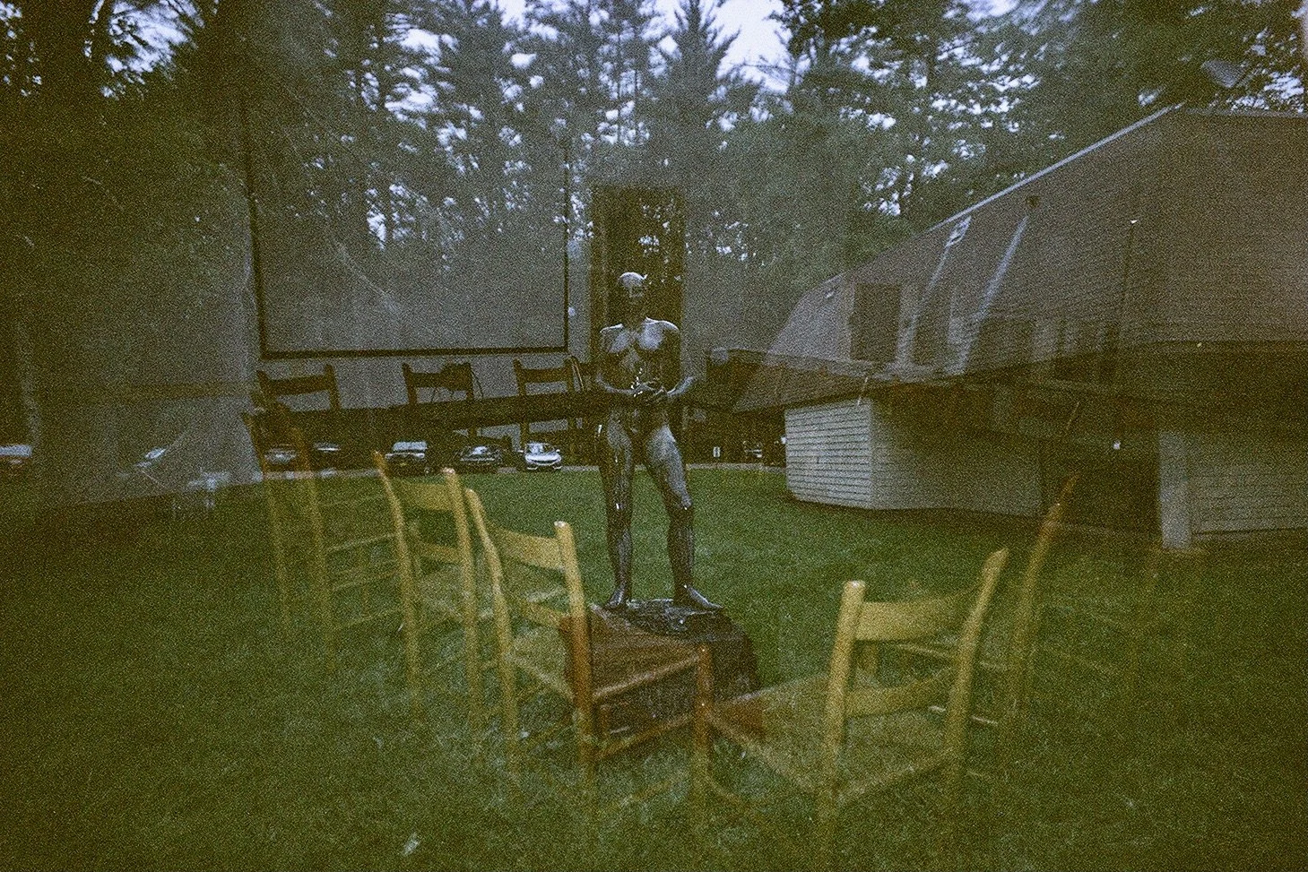 naked lady horizontal FFC2C73F-000D-4D54-8C61-6C1E024E893E_1_201_a.jpeg