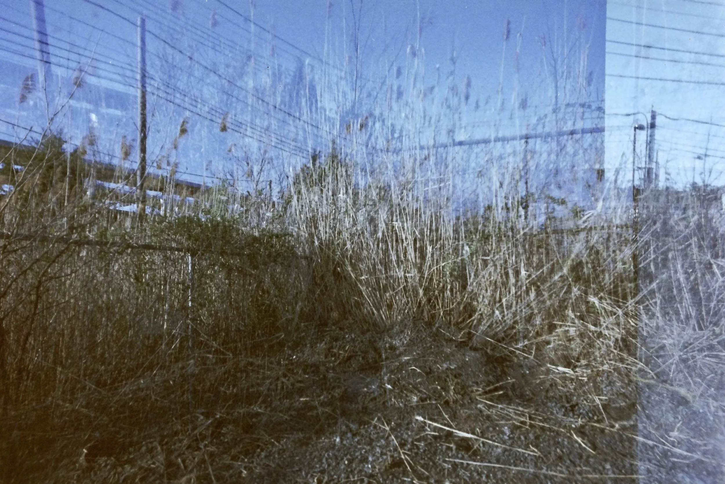 parking lot wave AF7FC3BA-03B9-4838-835C-1C529025782B_1_201_a.jpeg