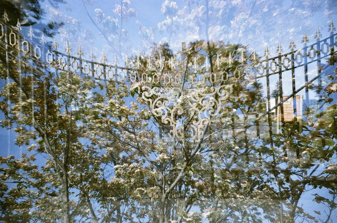 castle fence F2A0AC14-EF6A-41C4-A1B4-1C4C625D7159_1_105_c.jpeg