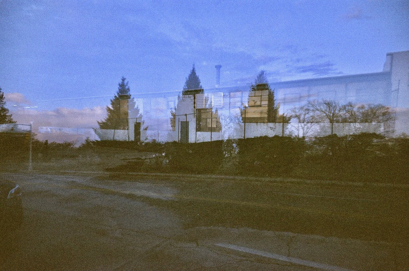 three pine 6DCBB39D-AE0E-4299-8C97-44BB810A92B0_1_201_a.jpeg