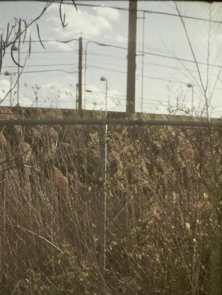 bag E1F36C82-DDF8-4F10-A5D6-F1A505ADE686_1_105_c.jpeg