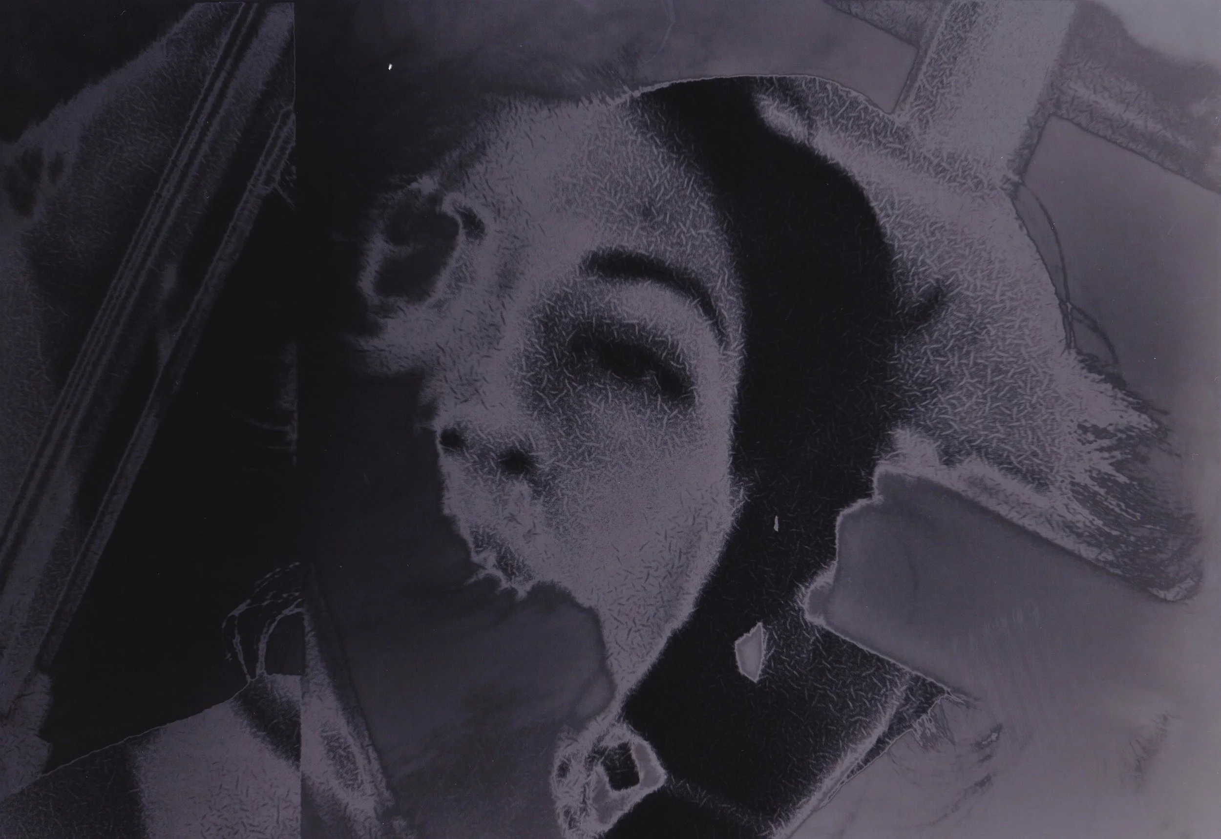 OG Me SRC Solarized 0D7EDC96-A160-4F05-98A1-BDE66FC1E39D_1_201_a.jpeg