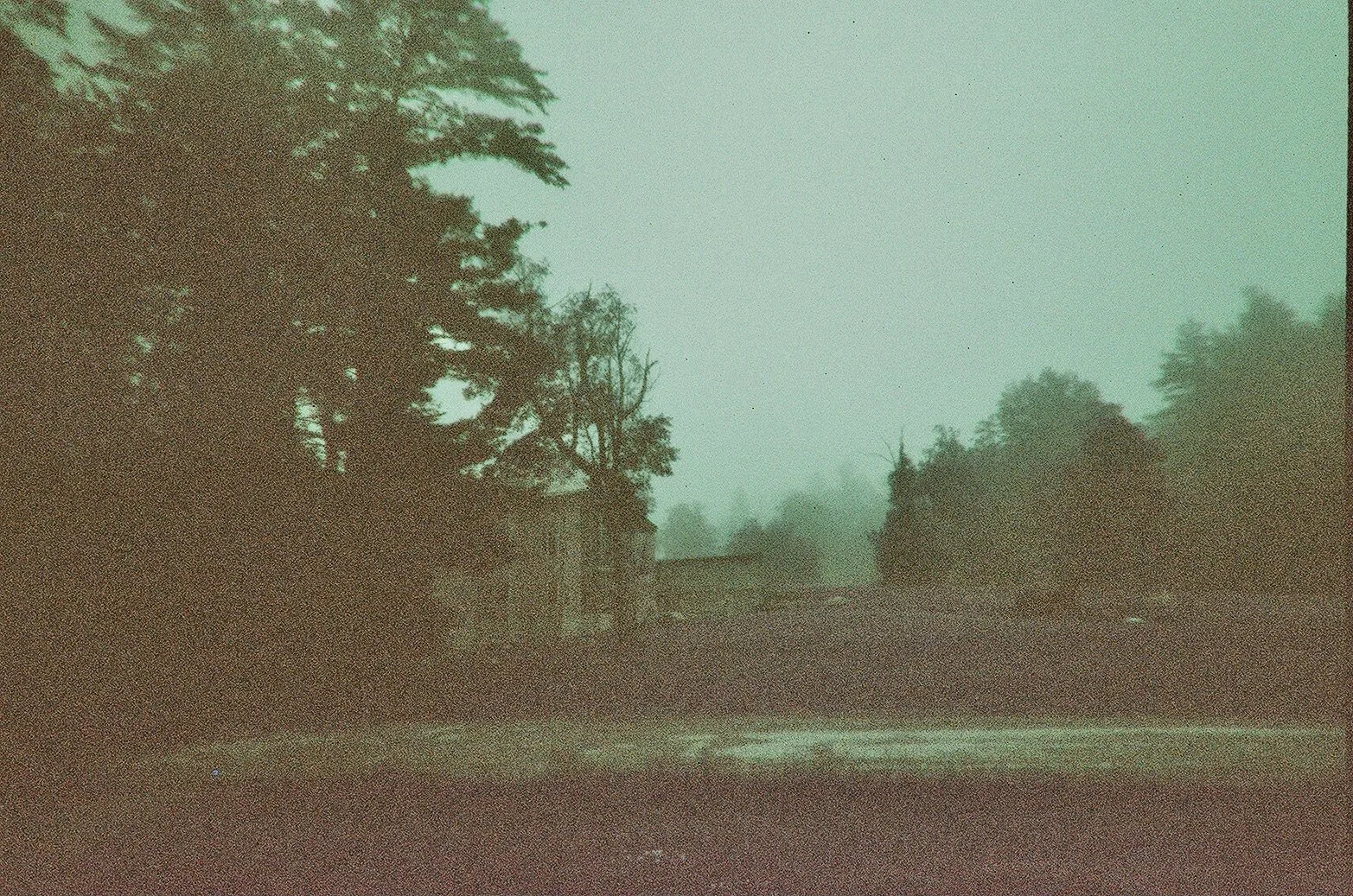 fisher purple 1F5A6208-B8B8-4993-A361-3E2B6A200F80_1_201_a.jpeg