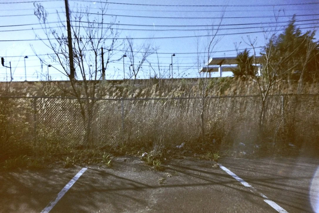 reed sunny 7856463F-B8C2-491C-BB7C-D8744EEABDFA_1_105_c.jpeg