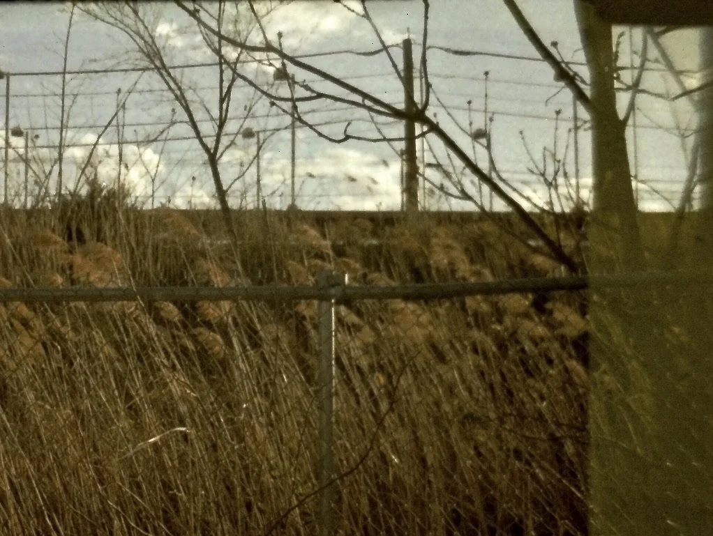 reed 95820548-229C-492B-8A2F-0C9D0527BE00_1_105_c.jpeg