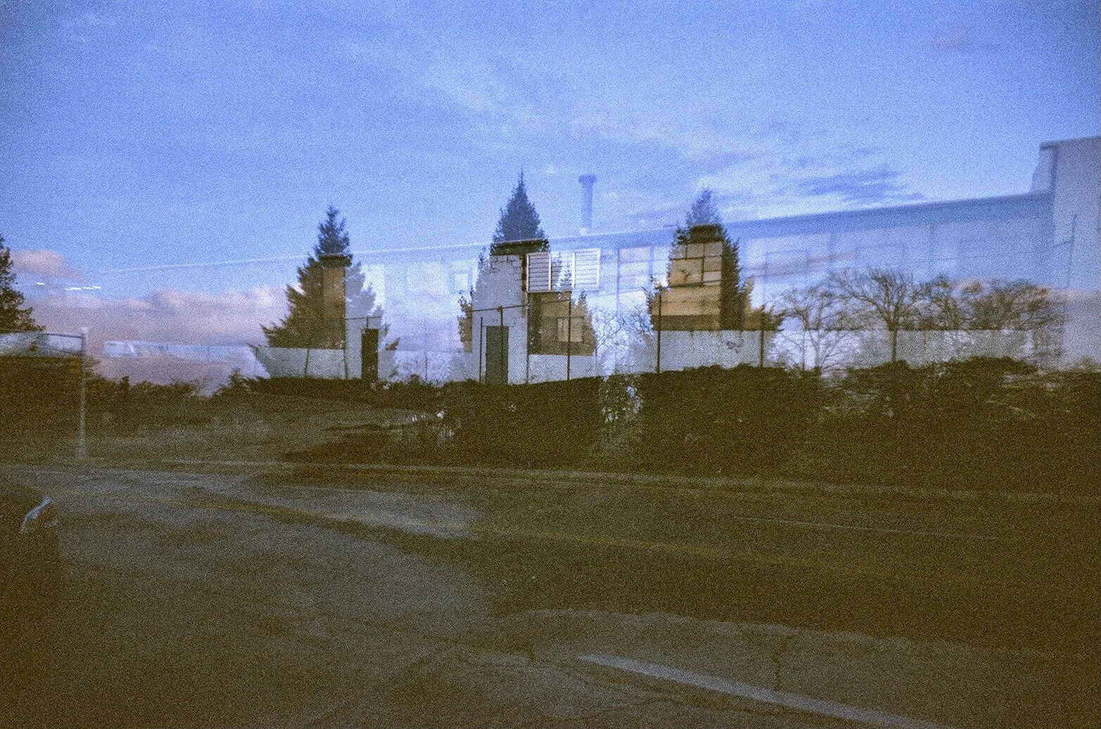 three pine A6332C62-71AF-4B9F-B9CD-5A6C4C001529_1_201_a.jpeg