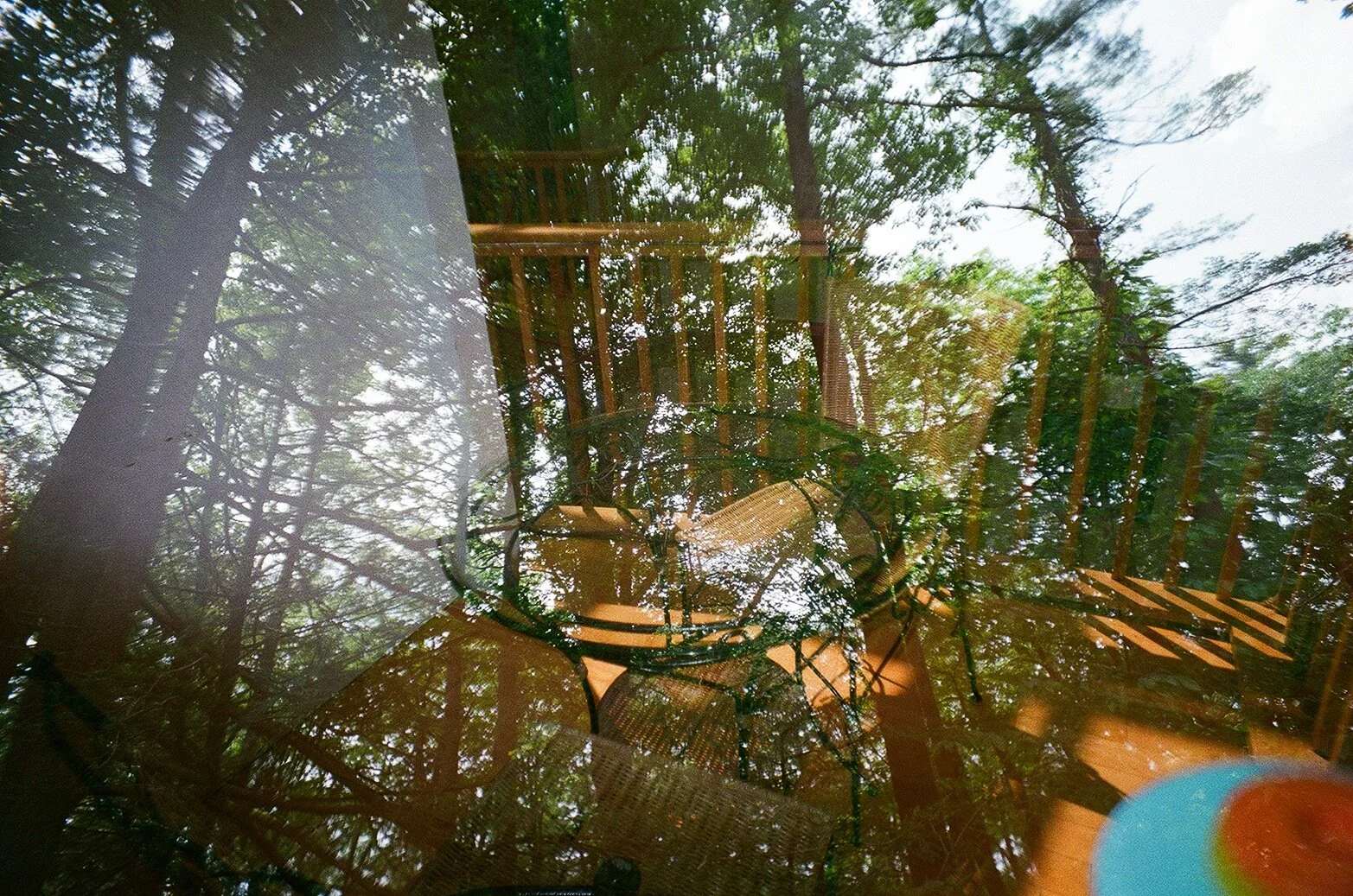 pibly MX the rock 63740021.jpeg