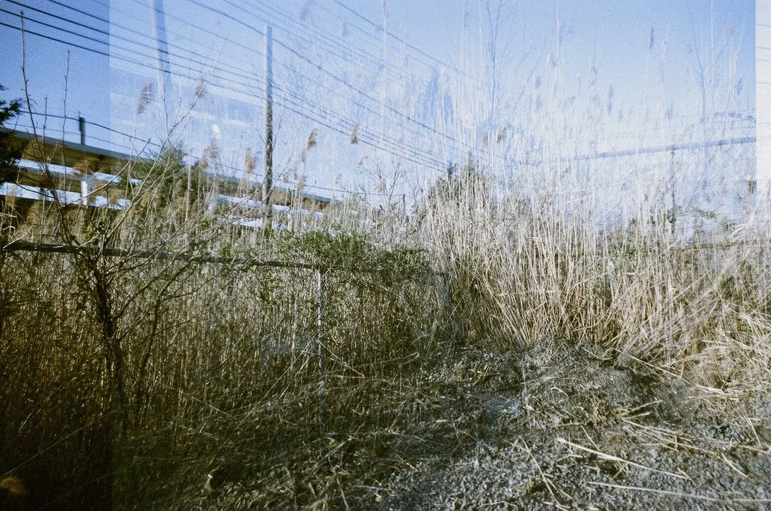 parking lot wave perfect C40184BC-2A30-4E1B-A425-22824397CCFE_1_105_c.jpeg