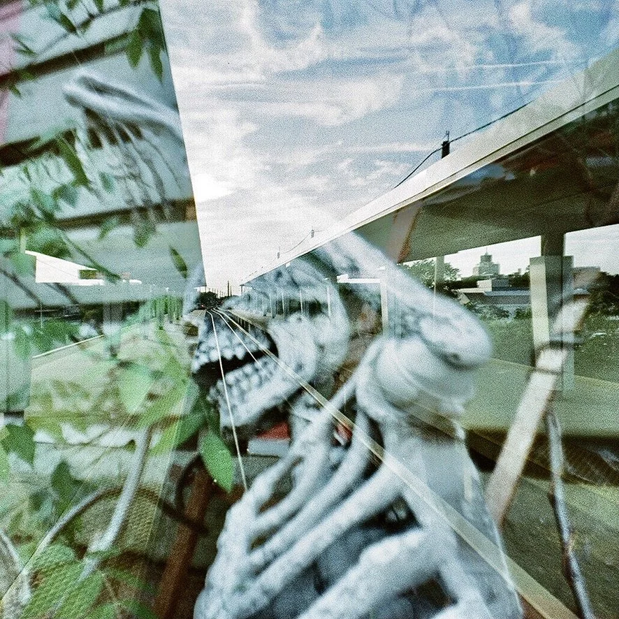 skeleton 6CDE2415-EA17-4854-87CF-B8FF65480EC1_1_105_c.jpeg