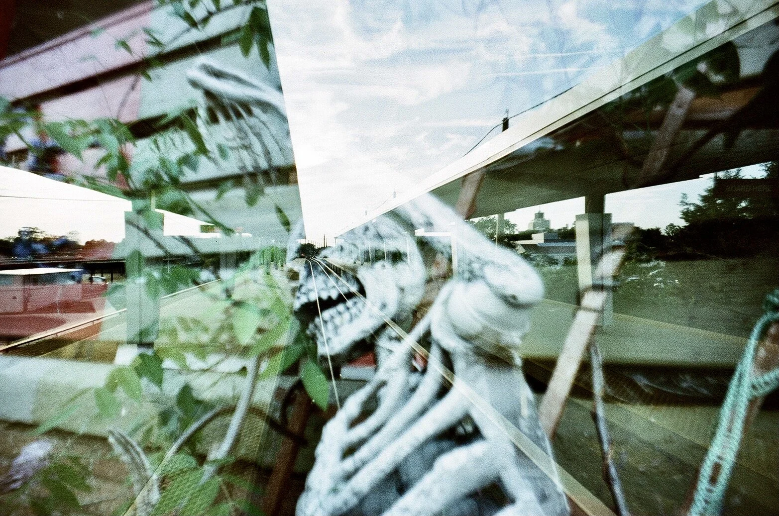 skeleton E0D780A2-0D9C-42F9-A456-F940361FC63C_1_201_a.jpeg