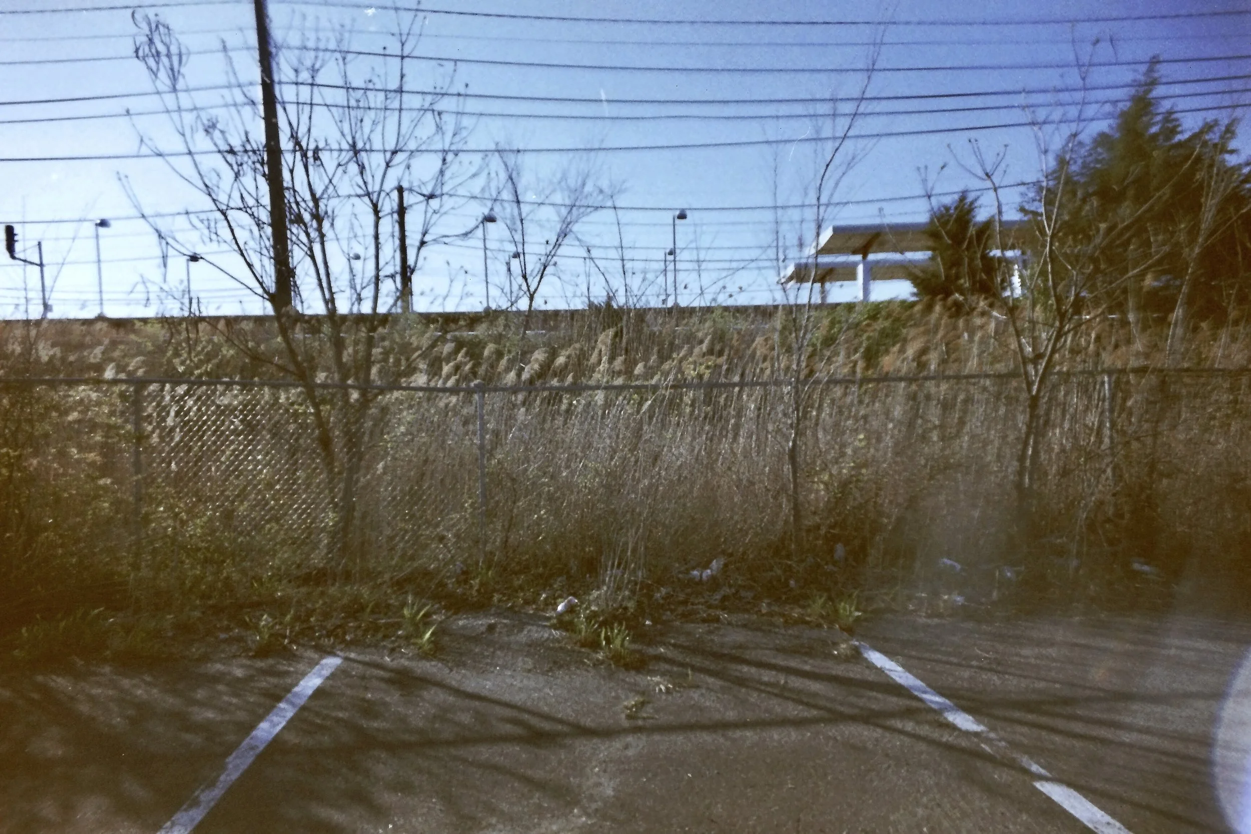 reed sunny 3F377B4E-DBF0-4DCB-8E5D-A88FDE669038_1_201_a.jpeg