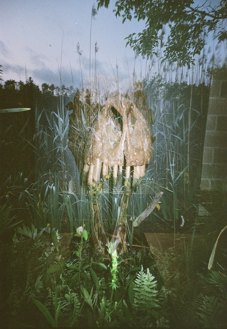 dinosaur 54D3EB13-8148-499B-80A5-A2AF43D56809_1_105_c.jpeg