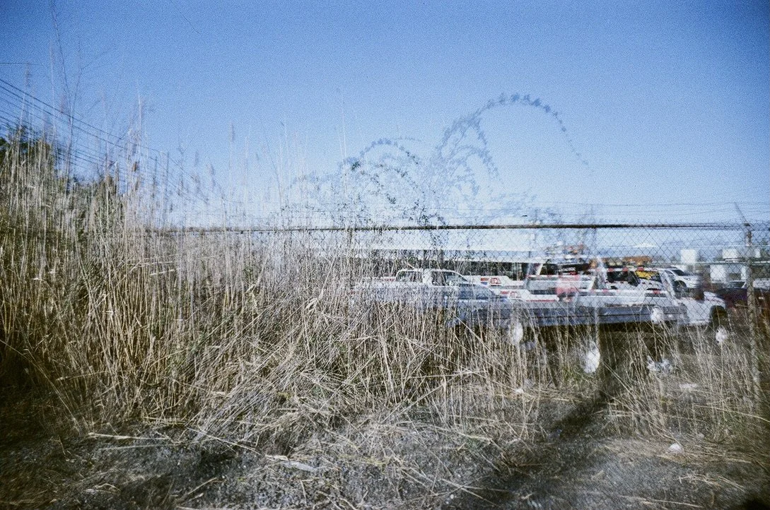 parking lot palm tree ADB4E47D-C327-47DE-B899-EC758215CB4D_1_105_c.jpeg