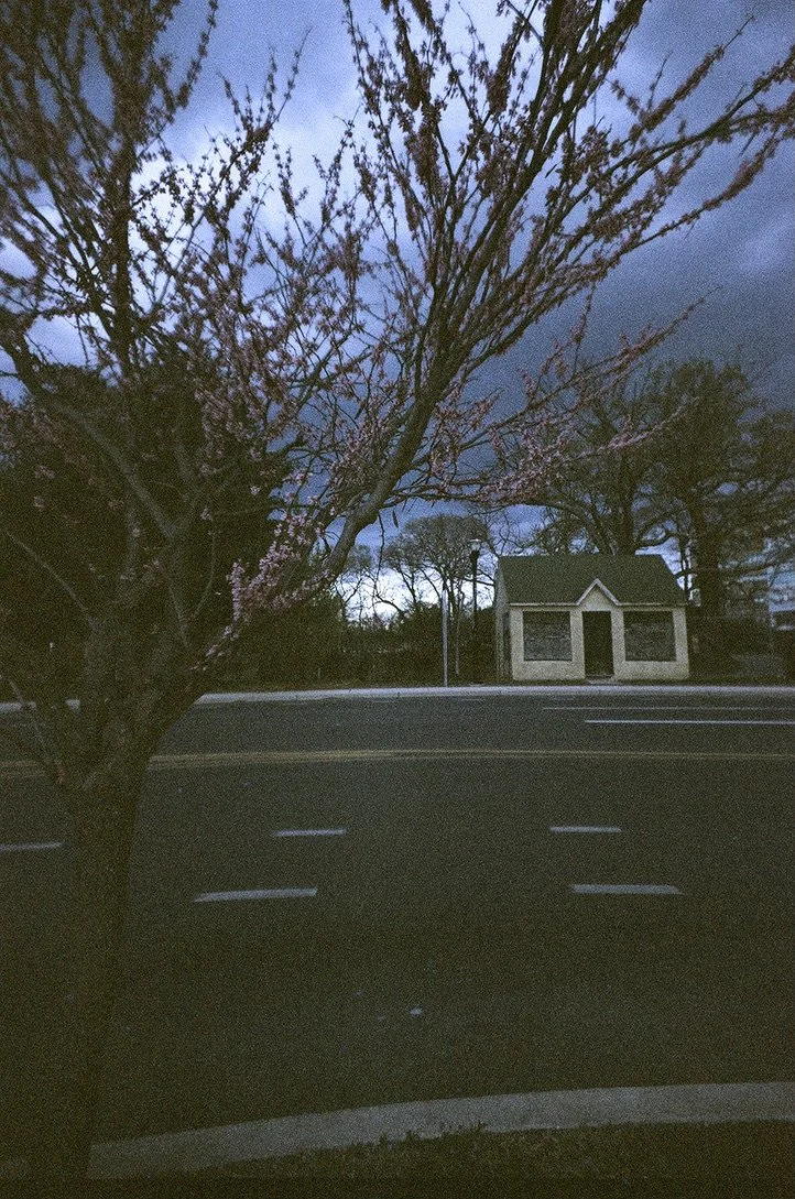 shack cherry blossoms 0E4BAACD-91AD-4963-A019-21A0F99EECBF_1_105_c.jpeg