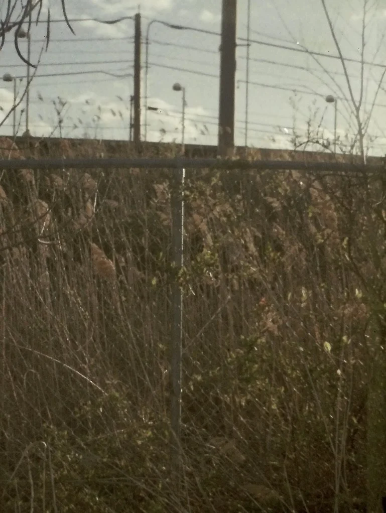 bag 12476C3A-40BC-4452-936E-E07778B5C930_1_105_c.jpeg