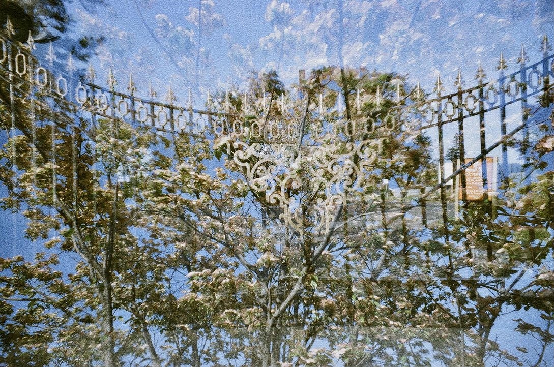 castle fence 5FC2C11F-CEE8-4970-A6E4-216B3312F510_1_105_c.jpeg