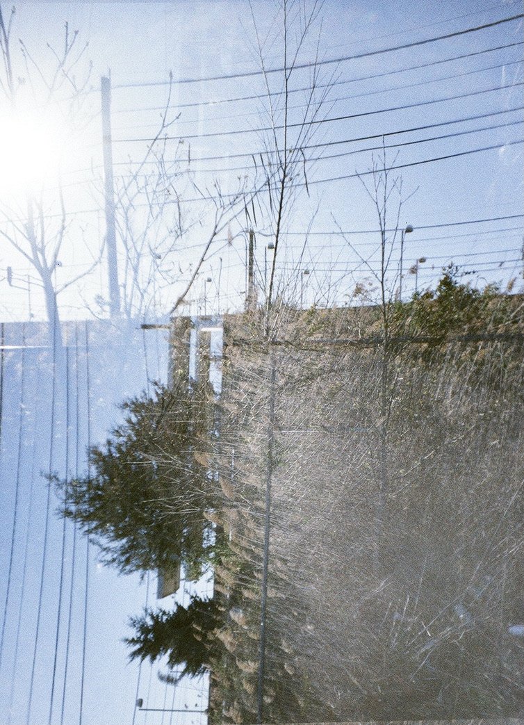 parking lot MX trees 1F213A55-ACFE-48FE-87B7-5681BAD0CE04_1_105_c.jpeg