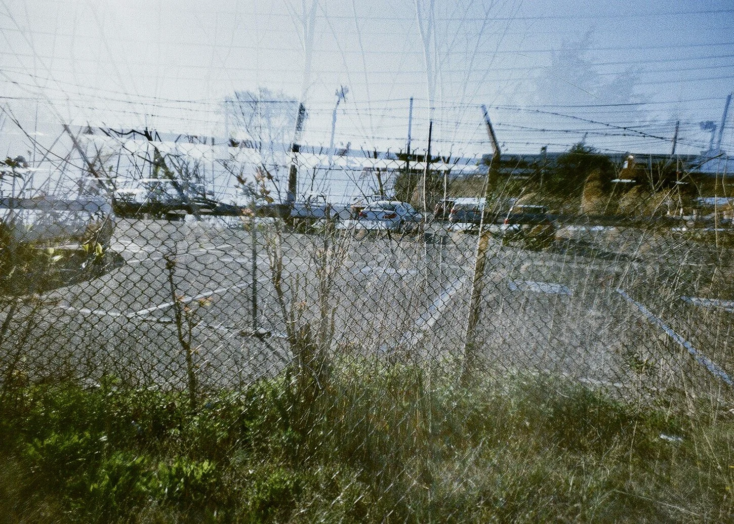 fence perfect 7BCF1C82-D38D-47EF-B807-69580187436B_1_201_a.jpeg