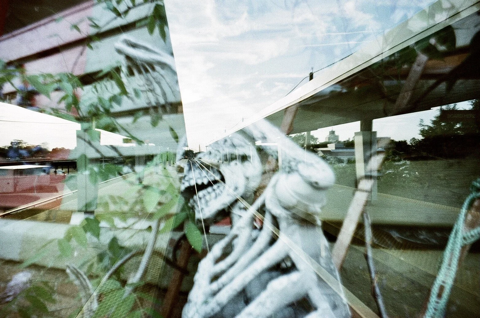 skeleton BBC49B6D-55CD-46D4-BD41-4B66A3A104E6_1_201_a.jpeg