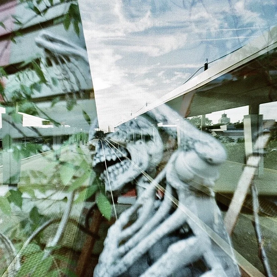 skeleton 945E5748-7756-4B1D-BFC2-A42A58DAB7FF_1_105_c.jpeg