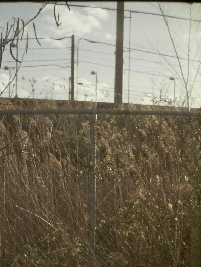 bag 64CB04E8-3D45-4D4C-96CB-12507F5FDECD_1_105_c.jpeg