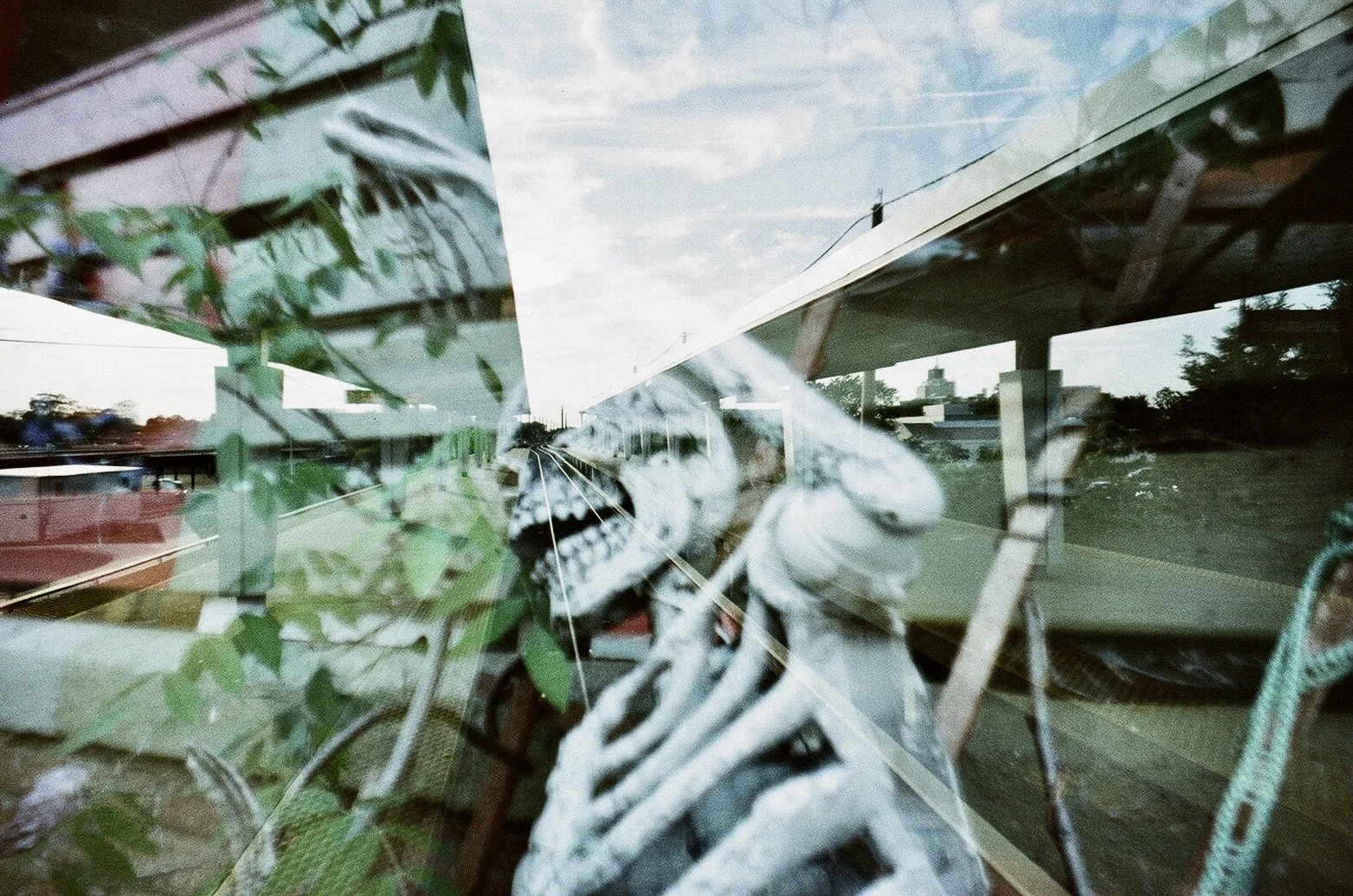 skeleton 7B4669EB-127D-406E-8A7A-6BDDCE2A50EC_1_201_a.jpeg