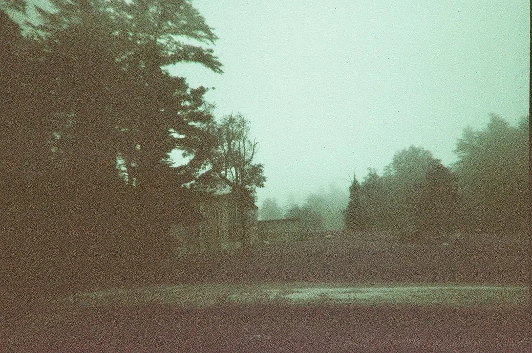 fisher purple 9BE82C4C-00FA-4633-8277-8E69C4CC3FC6_1_105_c.jpeg