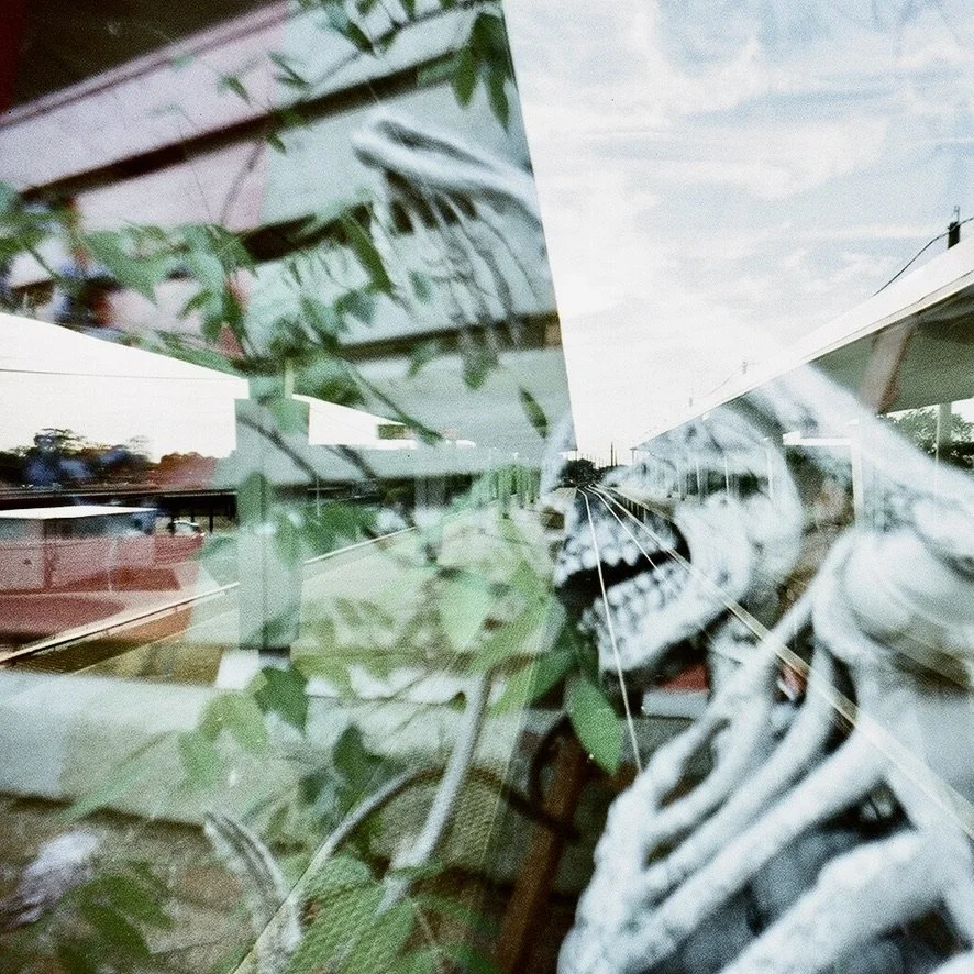 skeleton 342F3B73-150A-4ED7-B33A-8CC84F31DB91_1_105_c.jpeg