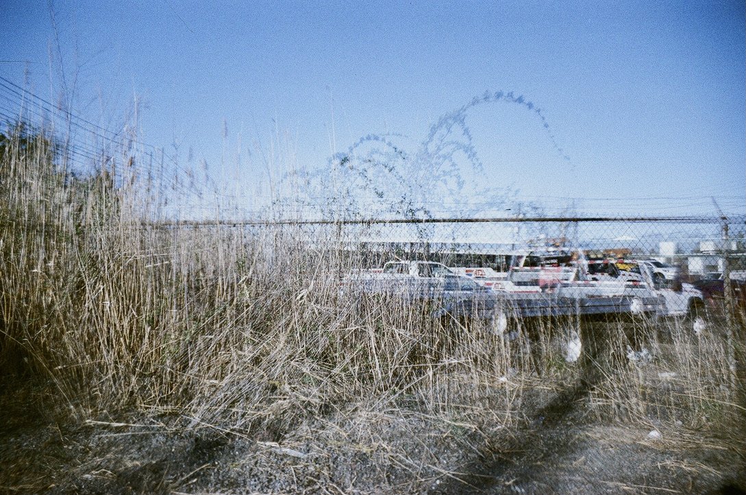 parking lot palm tree ADB4E47D-C327-47DE-B899-EC758215CB4D_1_105_c.jpeg