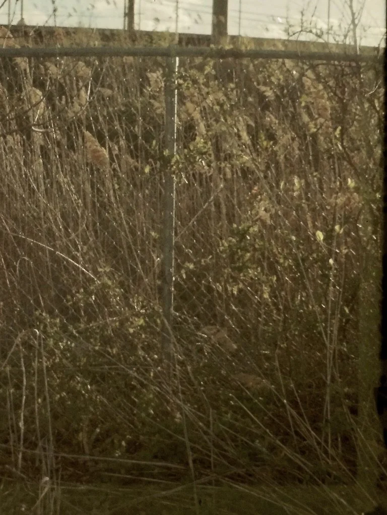 bag T 8C69978B-94BA-4EAE-95AD-1D7F61627226_1_105_c.jpeg