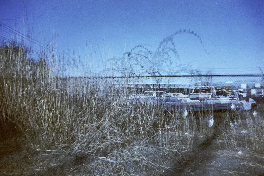 parking lot palm tree 46736CFC-B2A7-4B9F-A618-BA5949983C84_1_105_c.jpeg