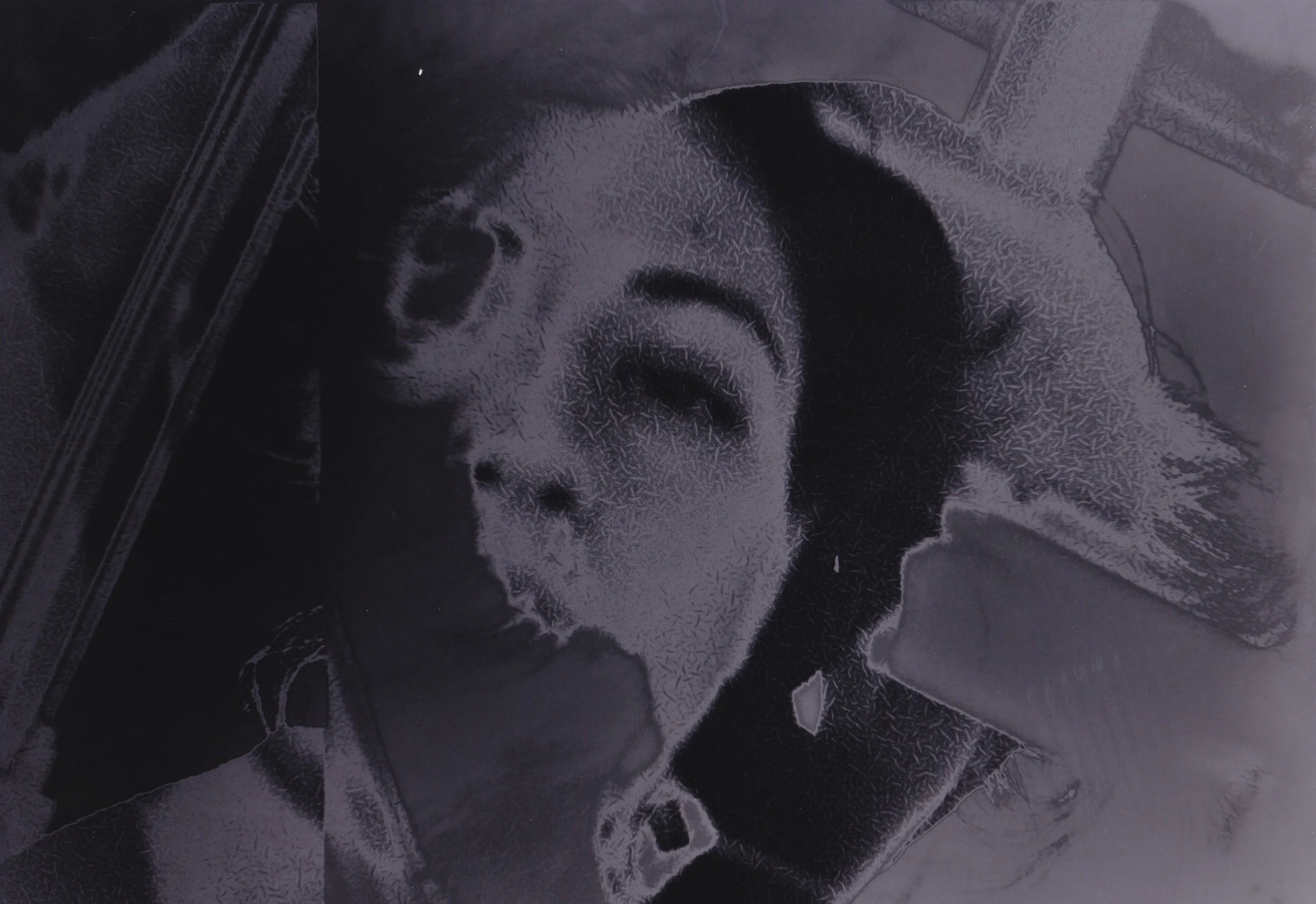 OG Me SRC Solarized B0CB321B-9F78-4D73-8743-E51CA3BC93BB_1_201_a.jpeg