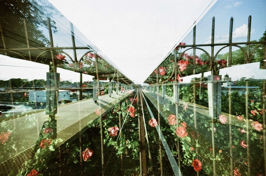 train tracks MX flowers B99667CC-2A26-4478-B058-DEC7E5E501CC_1_105_c.jpeg