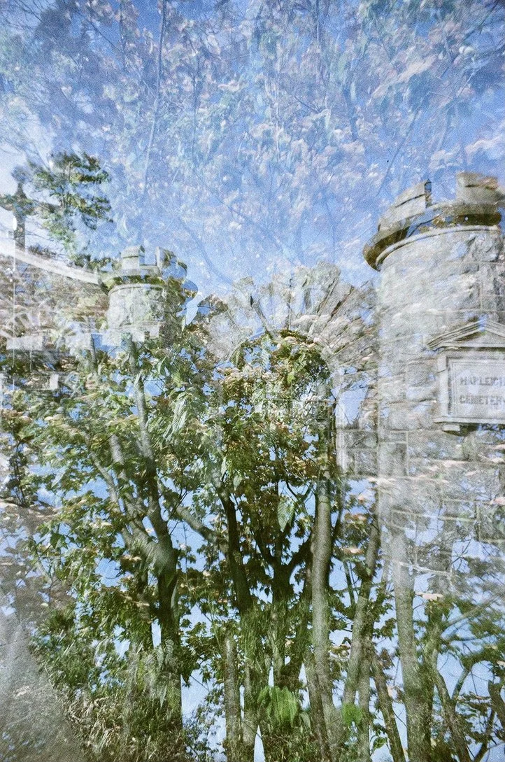 castle plant 9BD451EB-888D-4C1D-95F8-AFE1C116E942_1_105_c.jpeg