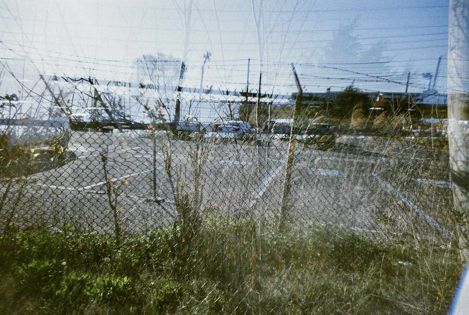 fence perfect BE5BBBF3-58D2-4137-8EEB-92A7143369A8_1_201_a.jpeg