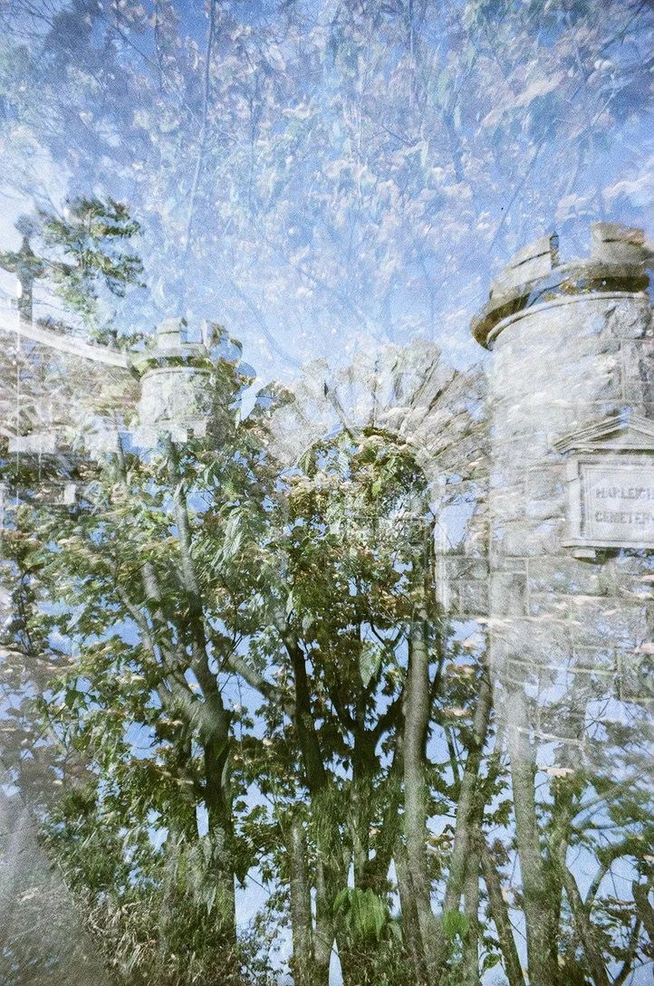 castle plant 649AC033-9A6C-4624-8AC4-4395D445E46D_1_105_c.jpeg