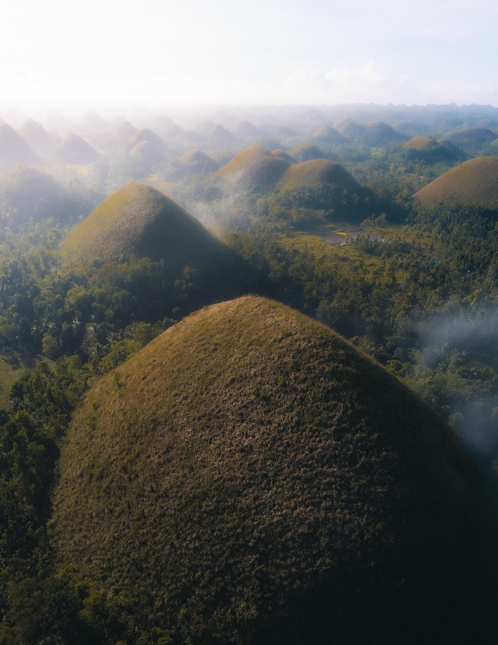 The Chocolate Hills in The Philippines Is Your Next Travel Destination -  Visit The Chocolate Hills