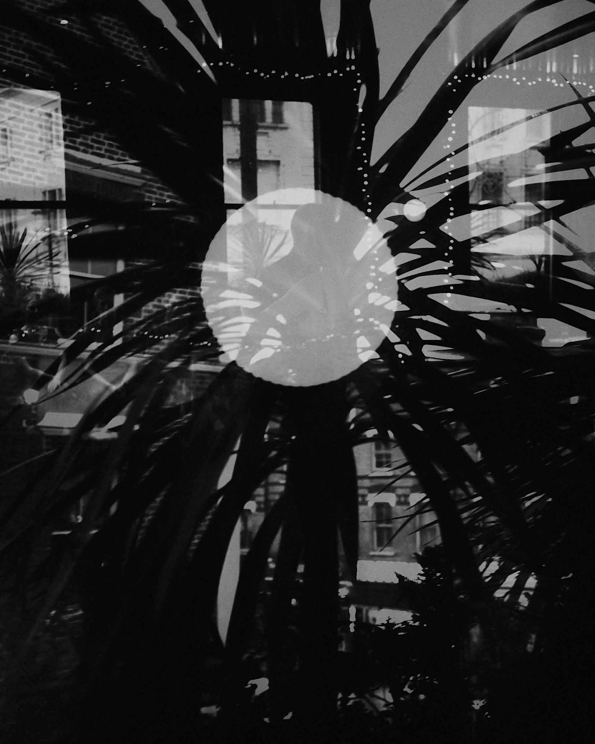 Tree Planet Tango 178 London every Sunday @ The New Cross House 