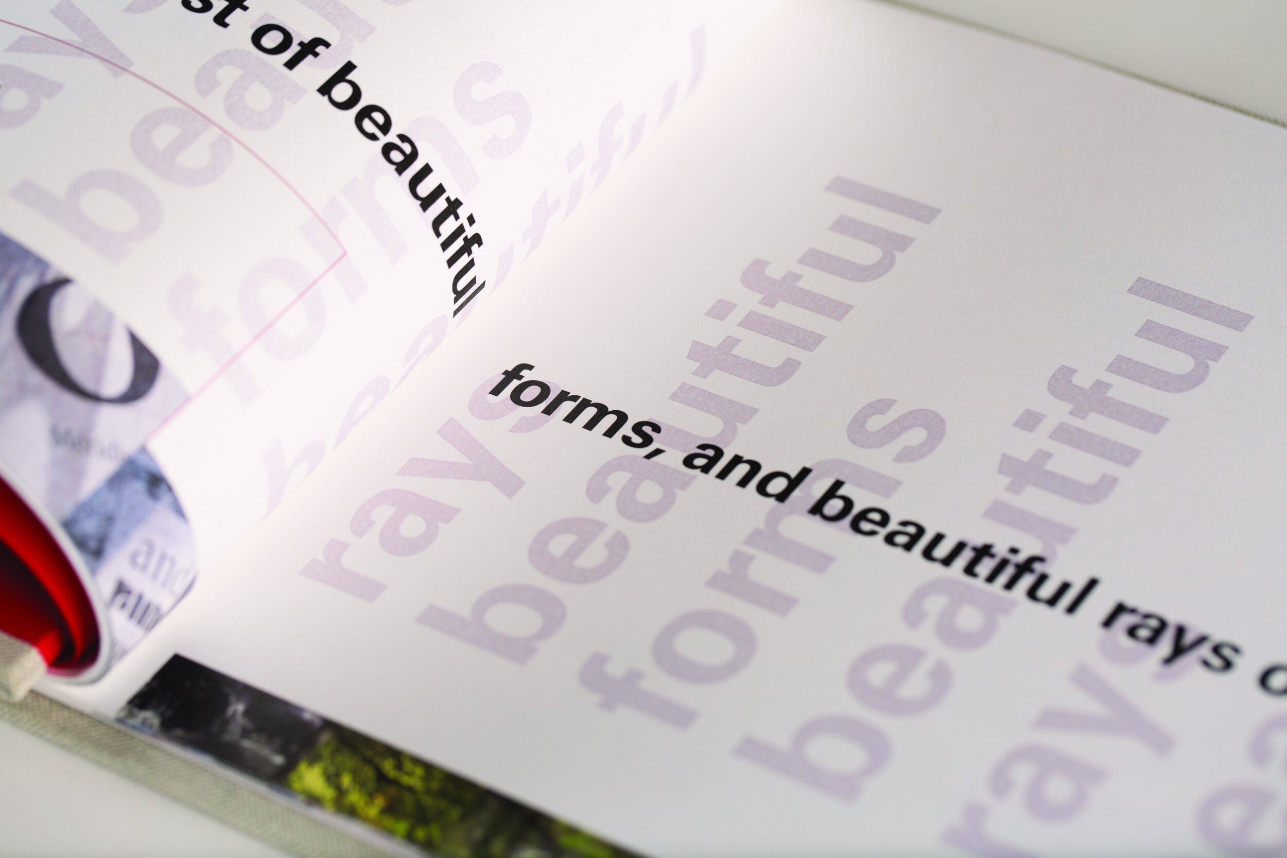 Inside spread of the 24 Terms book showing typographic quotes and snippets from the film 'The Man of Black and White'.
