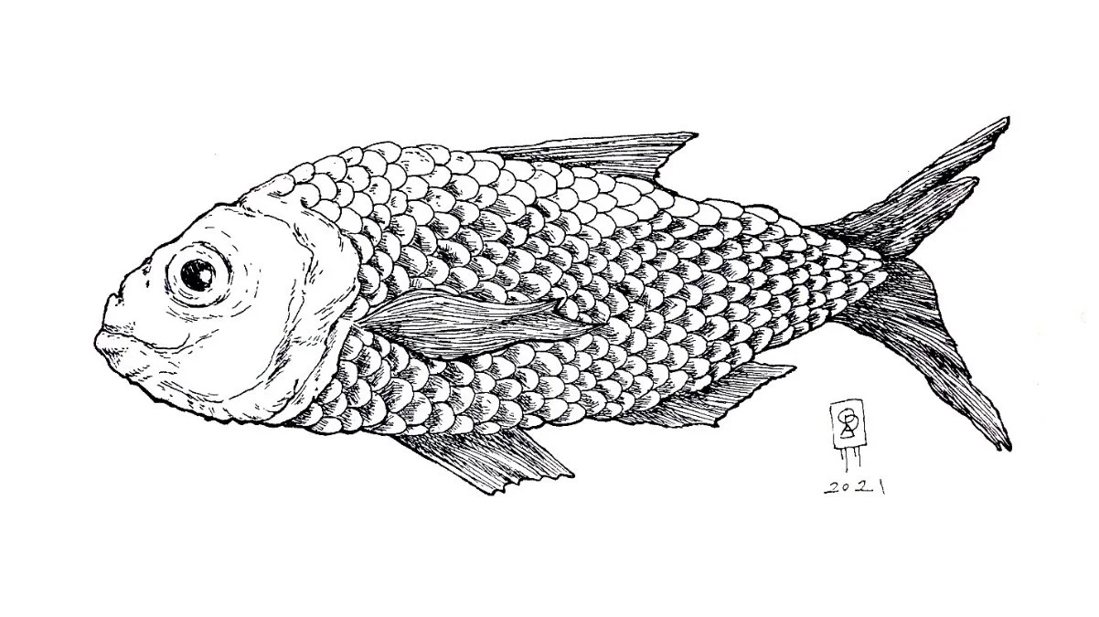 IANNA ENGANO_NEMIPTERUS JAPONICUS.jpg