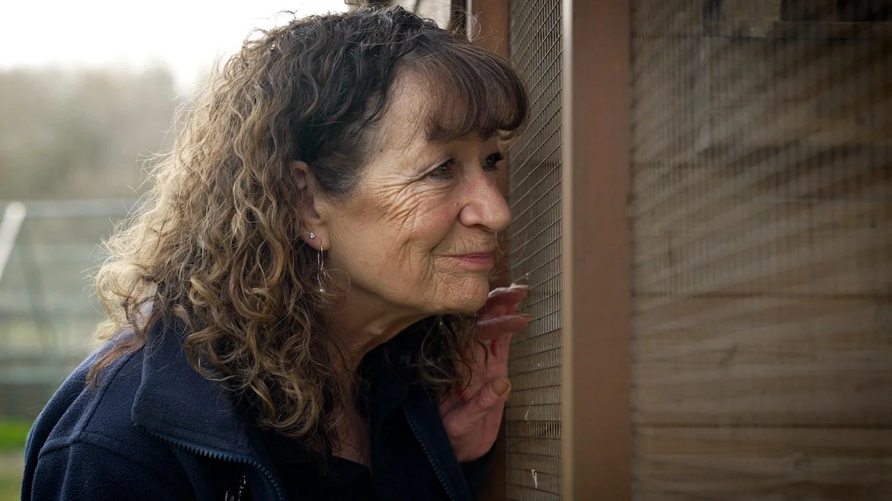 preview of wildlife filmmaking for the third sector