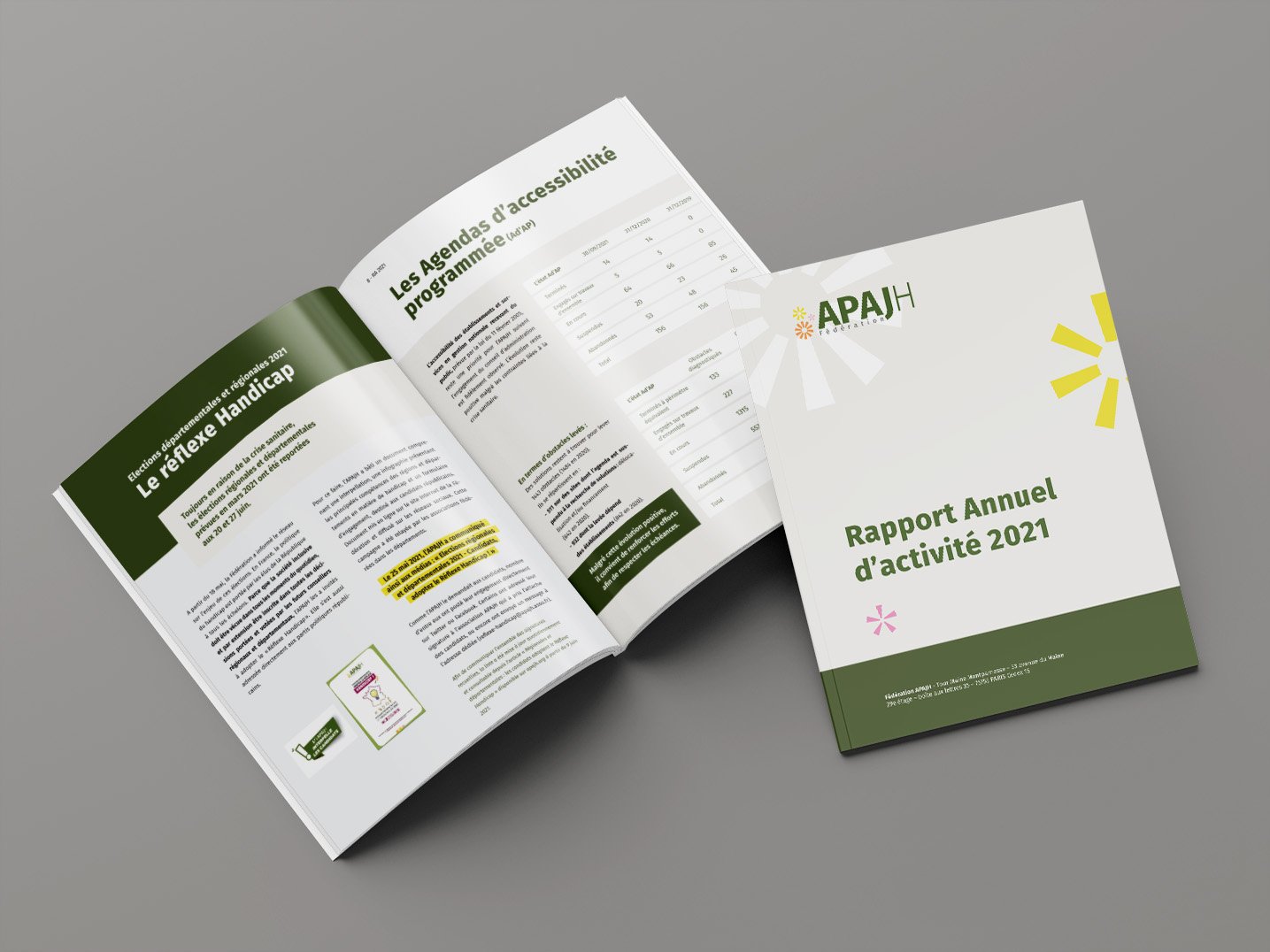 Rapport-APAJH-01.jpg